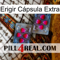 Erigir Cápsula Extra 15